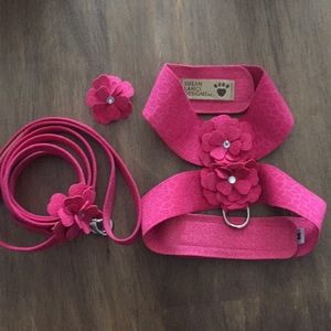 Susan Lanci dog harness